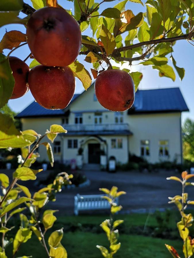 Disponentparken Cafe Och Bed & Breakfast Grängesberg Екстериор снимка