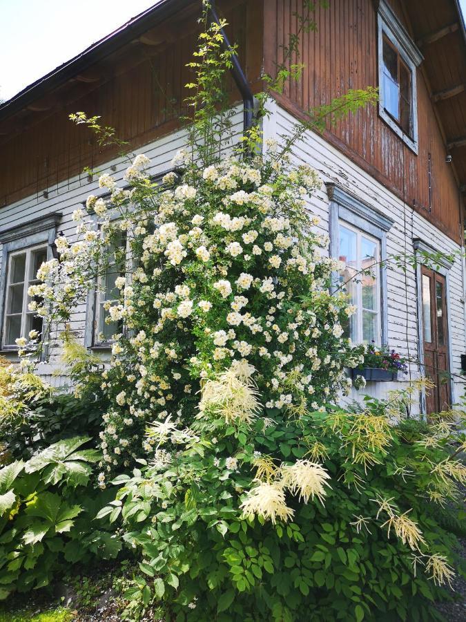 Disponentparken Cafe Och Bed & Breakfast Grängesberg Екстериор снимка