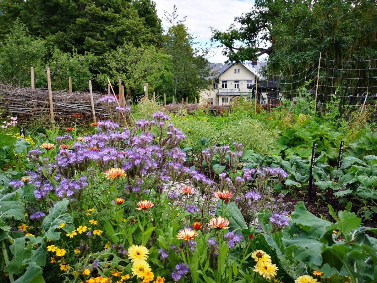 Disponentparken Cafe Och Bed & Breakfast Grängesberg Екстериор снимка